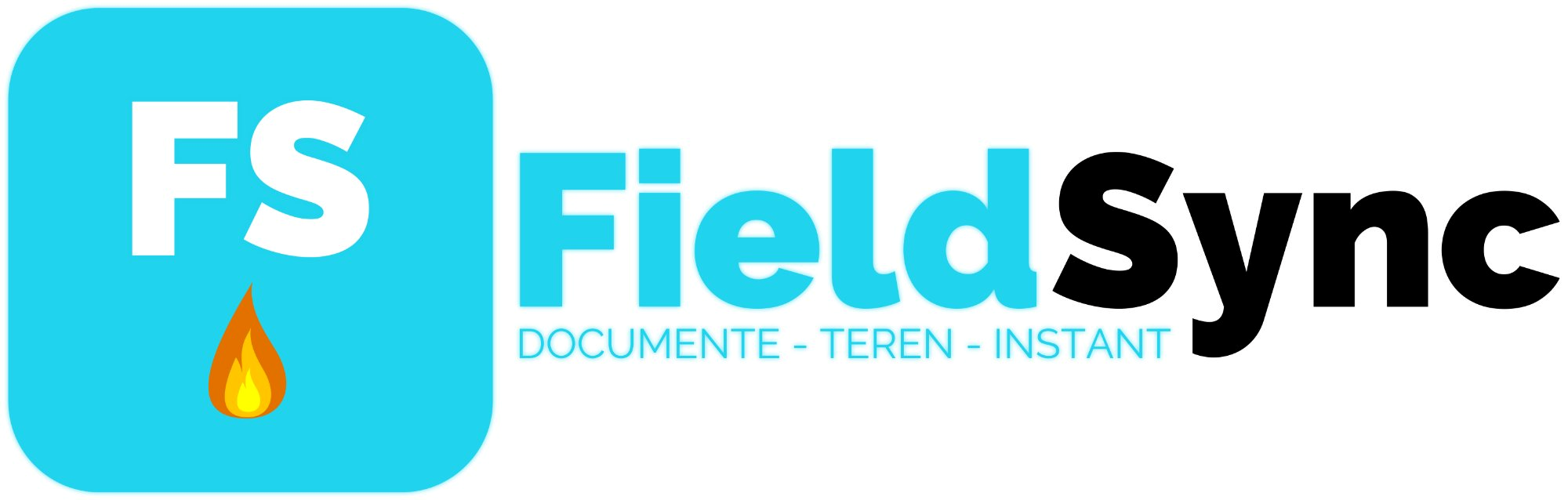 FieldSync